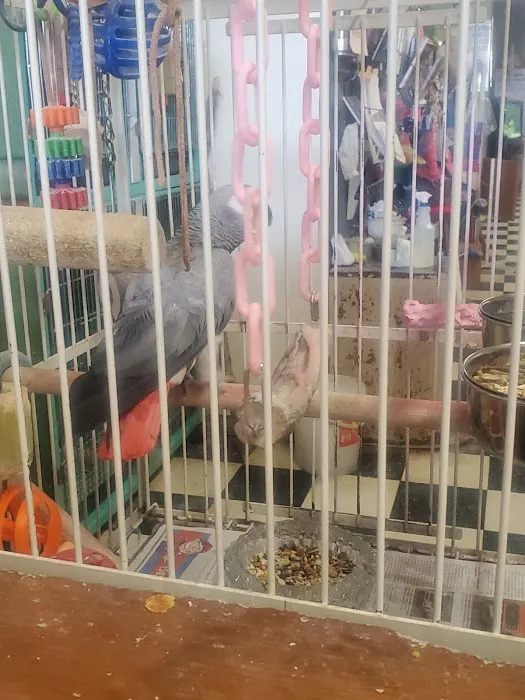 Scottsburg Pet Center Picture 6