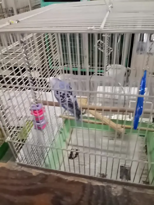 Scottsburg Pet Center Picture 1