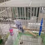 Scottsburg Pet Center
