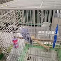 Scottsburg Pet Center ico