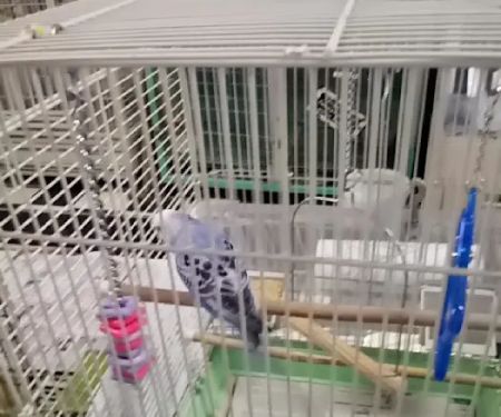 Scottsburg Pet Center