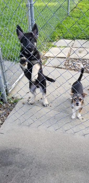 St. Clair Veterinary Clinic Picture 3
