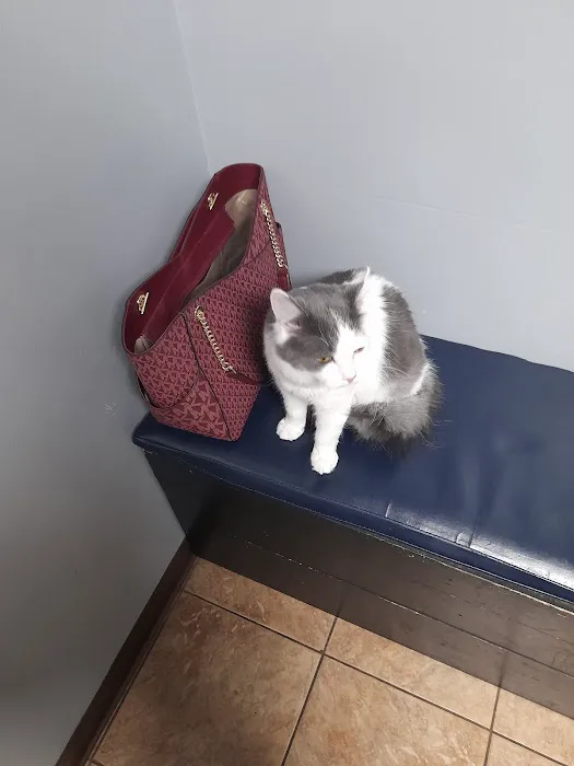 St. Clair Veterinary Clinic Picture 1