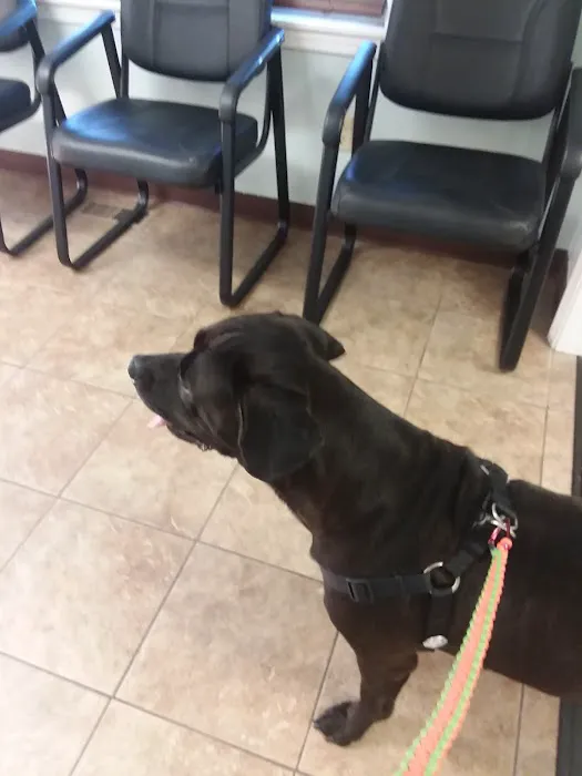 St. Clair Veterinary Clinic Picture 6