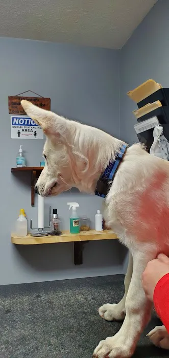 St. Clair Veterinary Clinic Picture 4
