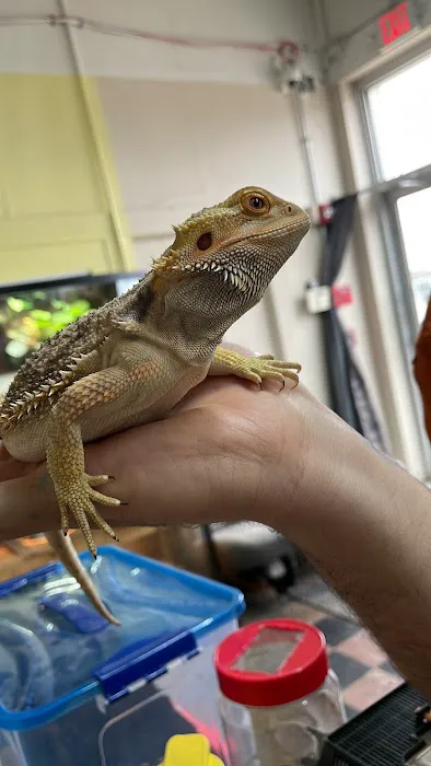 Scales N Tails Exotic Pet Supply Picture 8