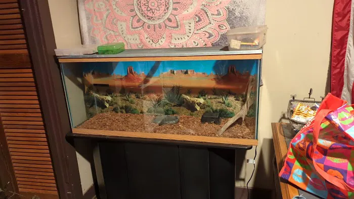 Scales N Tails Exotic Pet Supply Picture 9