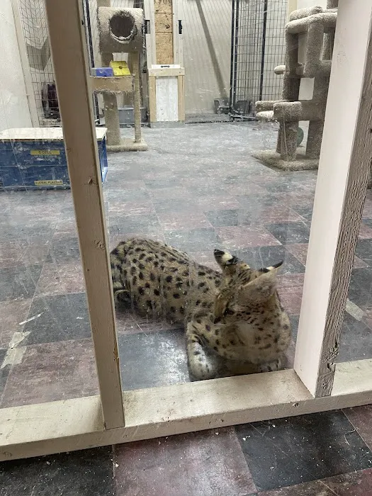 Scales N Tails Exotic Pet Supply Picture 4