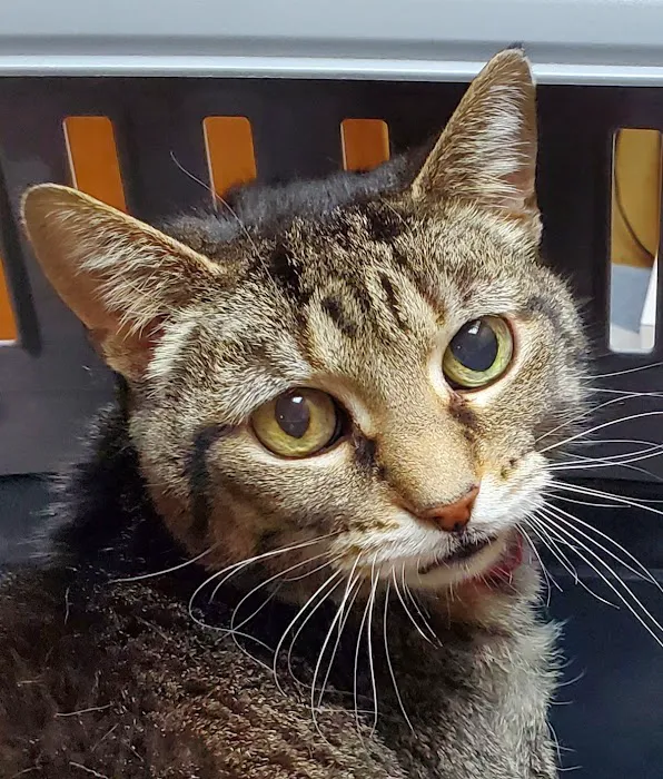 Owen County Animal Clinic Picture 3