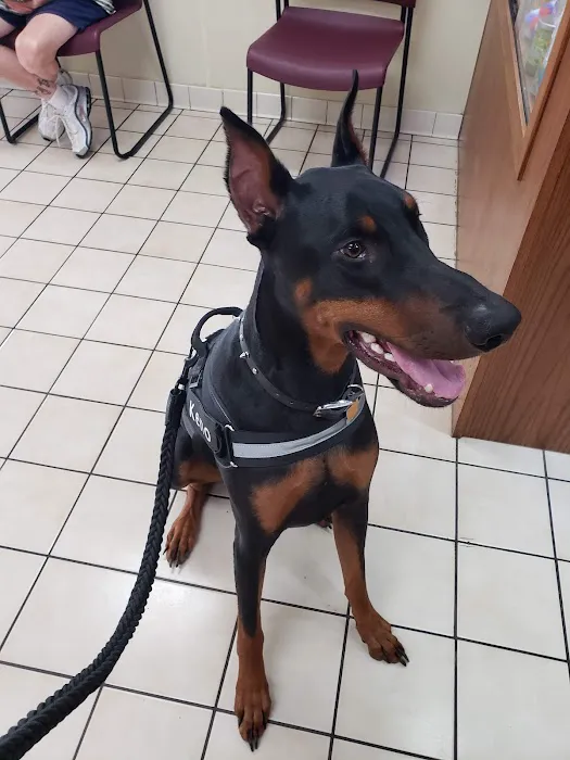Jennings Veterinarians Picture 3