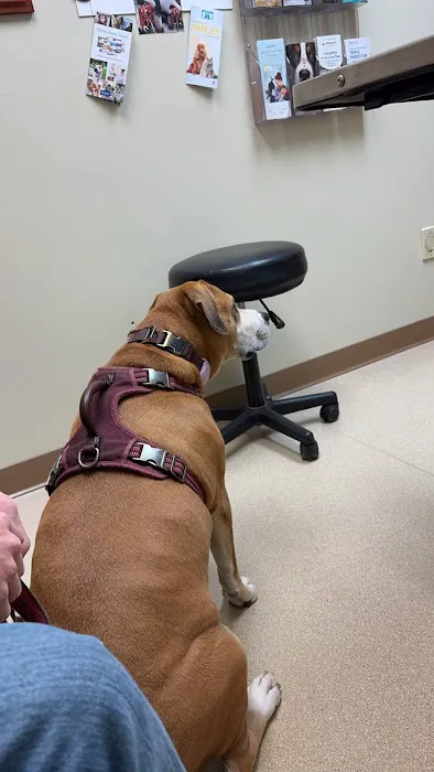 Laughery Valley Veterinary Hospital Picture 7