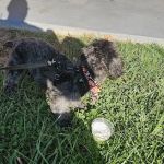 Laughery Valley Veterinary Hospital