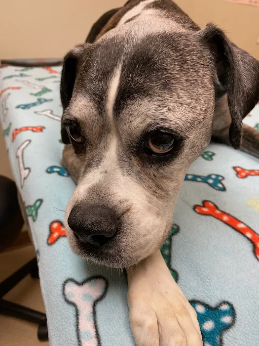 Laughery Valley Veterinary Hospital Picture 5