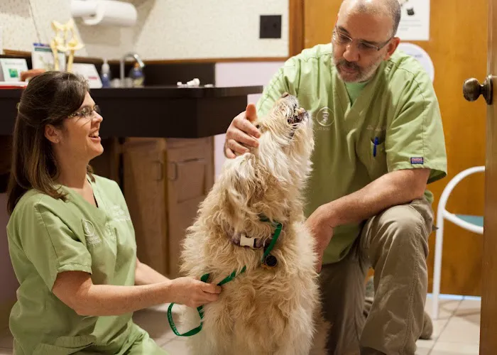 Salt River Animal Hospital Picture 8