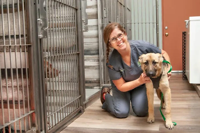 Salt River Animal Hospital Picture 1