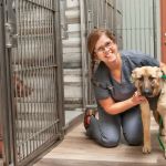 Salt River Animal Hospital