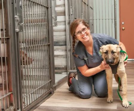 Salt River Animal Hospital