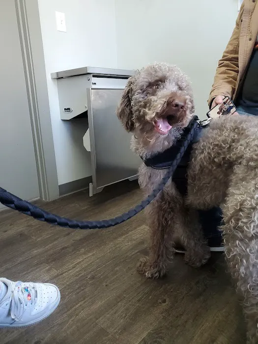 Elk Creek Animal Hospital of Bullitt County Picture 7