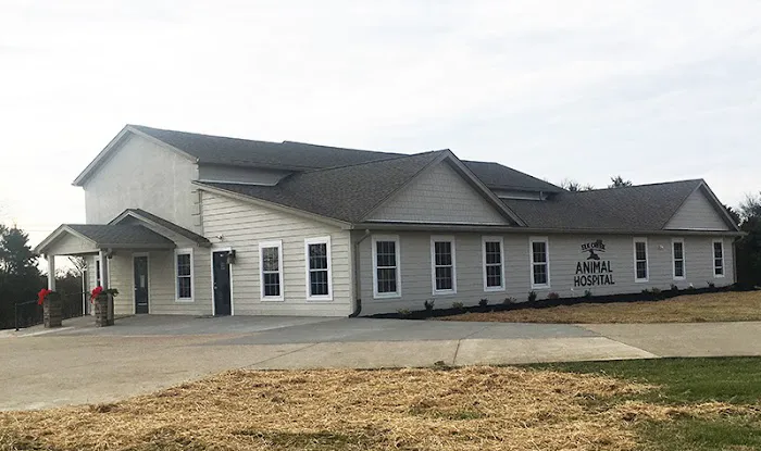 Elk Creek Animal Hospital of Bullitt County Picture 3