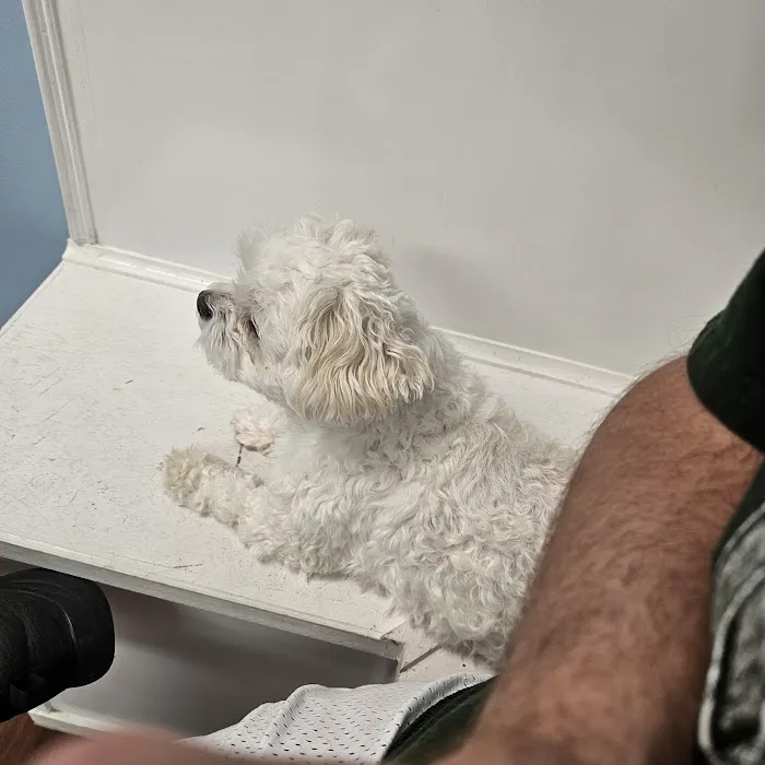 East Bullitt Animal Clinic Picture 3