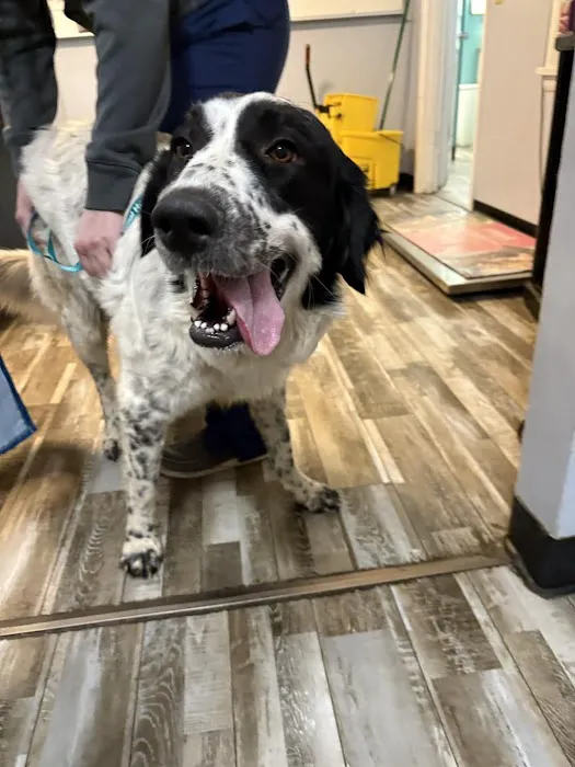 Shepherdsville Animal Hospital Picture 1