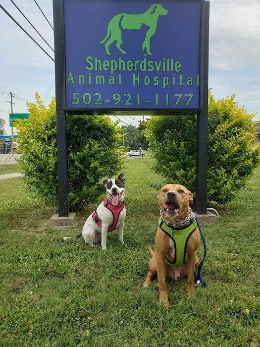 Shepherdsville Animal Hospital Picture 6