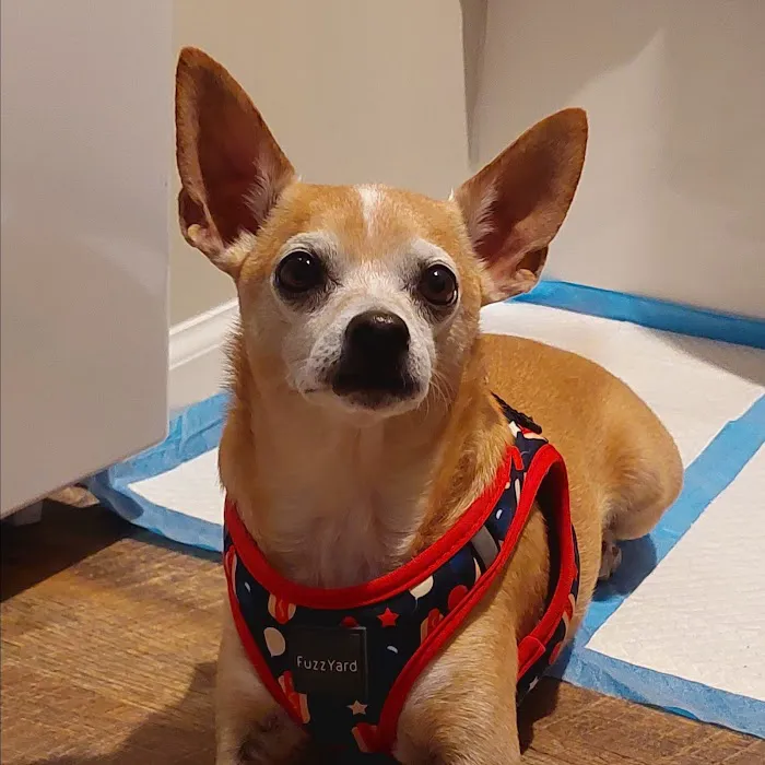 Johnsen Veterinary Services Picture 5