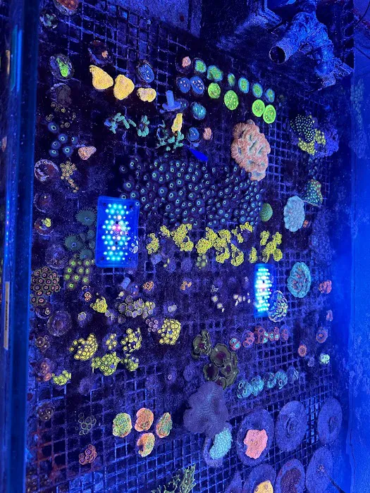 Derby City Aquatics Picture 5