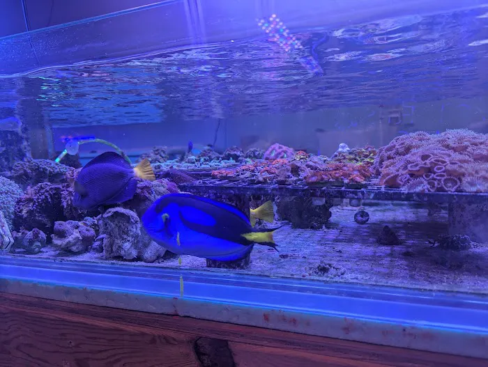 Derby City Aquatics Picture 3