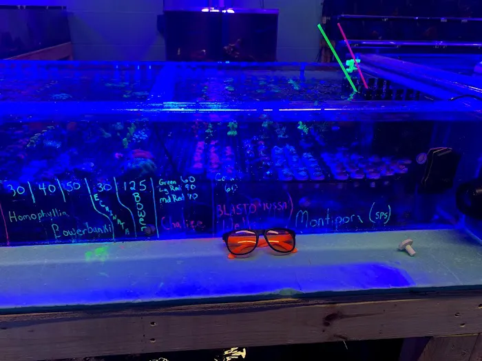 Derby City Aquatics Picture 8