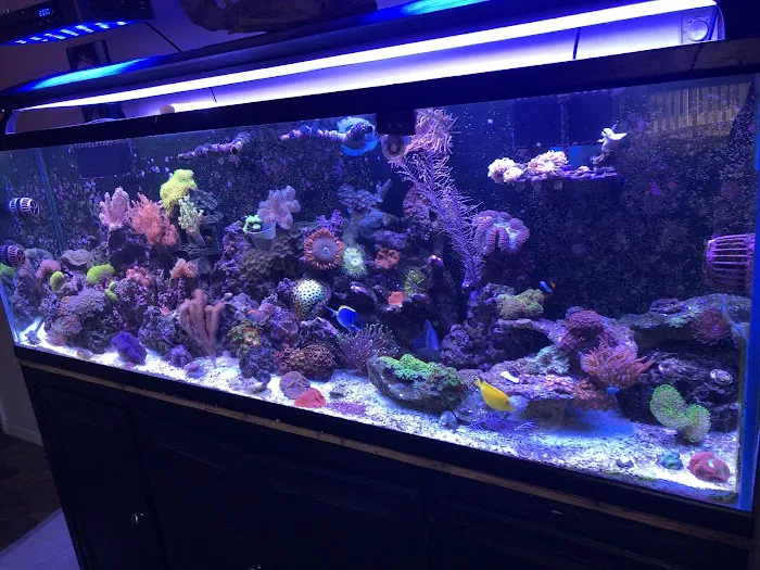 Derby City Aquatics Picture 2