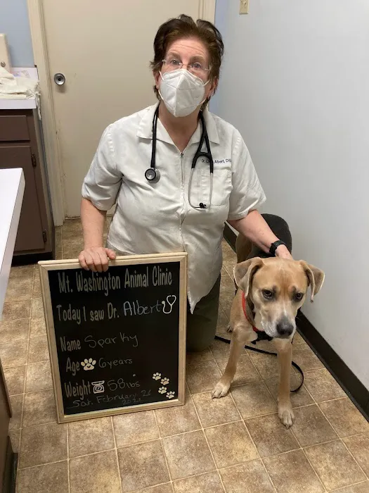 Mt. Washington Animal Clinic Picture 2