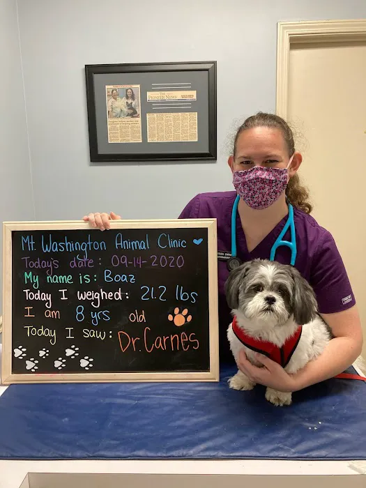Mt. Washington Animal Clinic Picture 7
