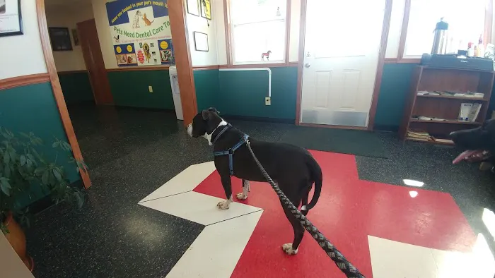 Cornerstone Animal Clinic PLLC Picture 9