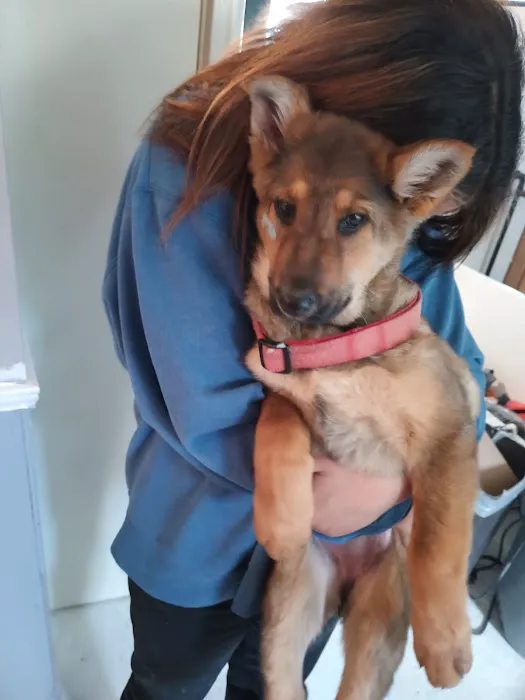 Midway Veterinary Clinic Picture 4