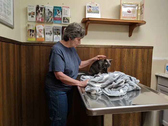 Midway Veterinary Clinic Picture 6