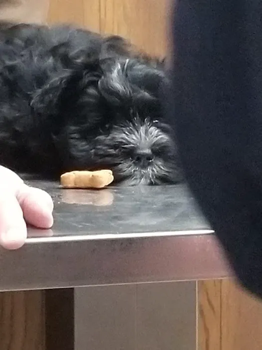 Midway Veterinary Clinic Picture 5