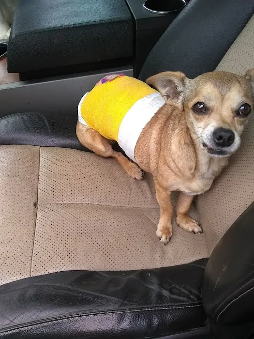Midway Veterinary Clinic Picture 3
