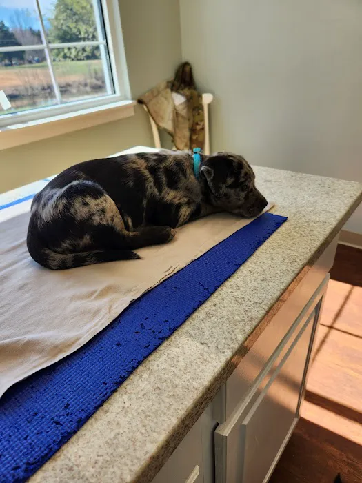 Vine Grove Veterinary Hospital Picture 3