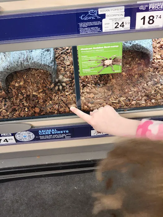 Petco Picture 5