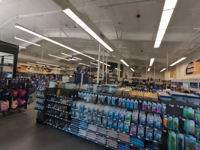 Petco Picture 3