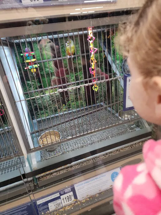 Petco Picture 10