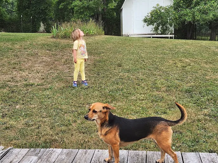 Bluegrass Animal Care Center-Radcliff Picture 4