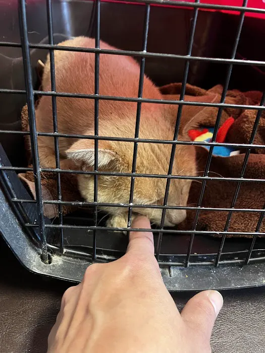 Jackson County Animal Clinic Picture 6