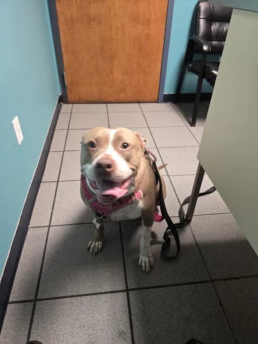 Jackson County Animal Clinic Picture 3