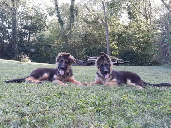 Jackson County Animal Clinic Picture 5