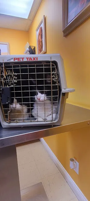 St Francis Pet Hospital Picture 3
