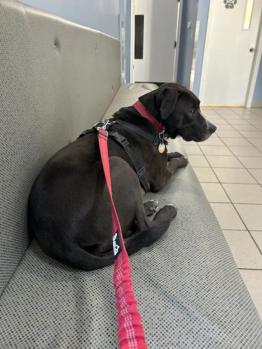 Seymour Animal Hospital Picture 7