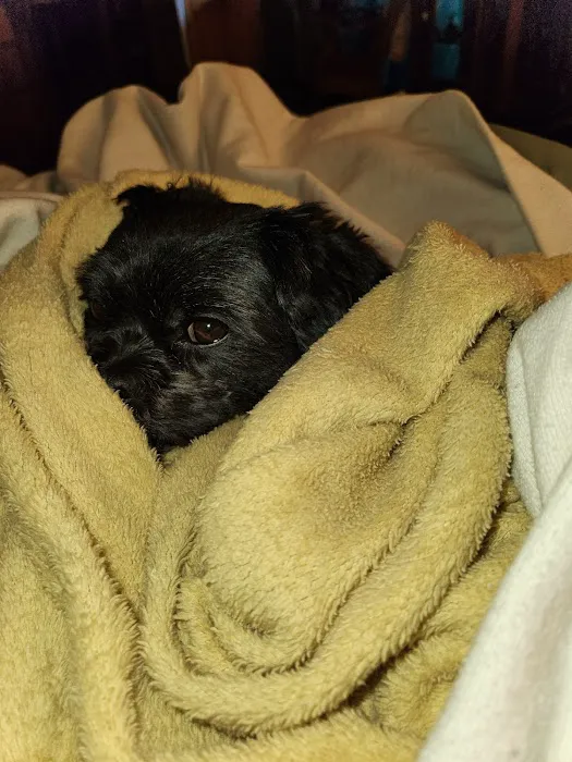 Seymour Animal Hospital Picture 10