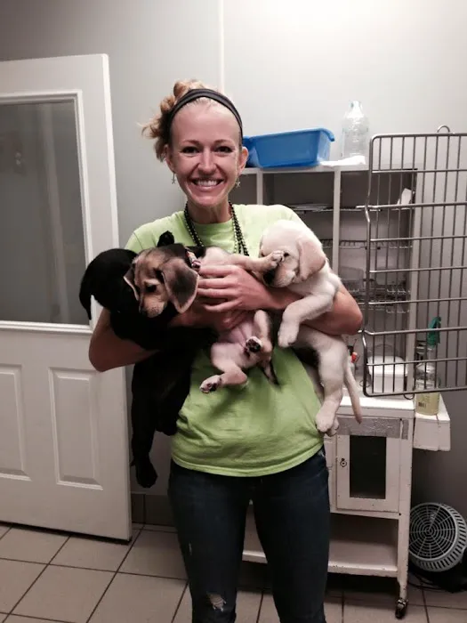 Seymour Animal Hospital Picture 9